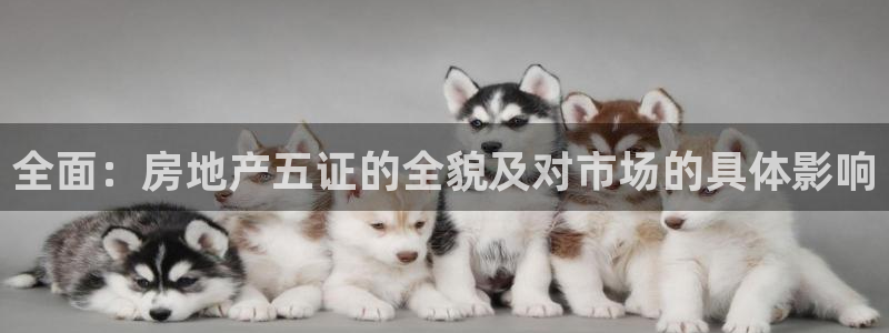 和记网站官网