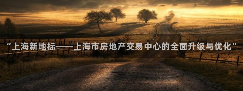 和记国际官网官网：“上海新地标——上海市房地产交易中心的全面