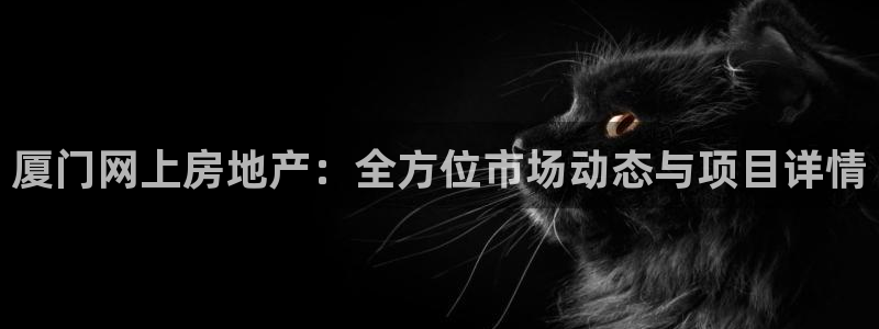 和记官网备用客户端：厦门网上房地产：全方位市场动态与项目详情