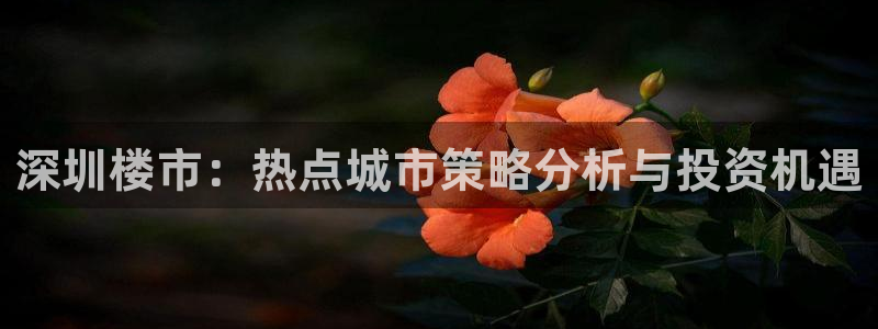 和记电讯three官网：深圳楼市：热点城市策略分析与投资机遇