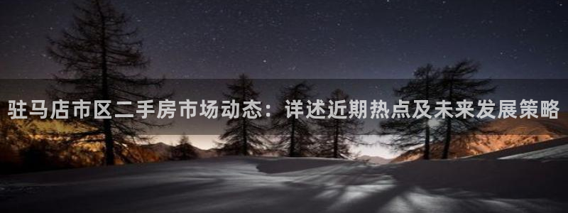 和记官网手机新版app下载：驻马店市区二手房市场动态：详述近