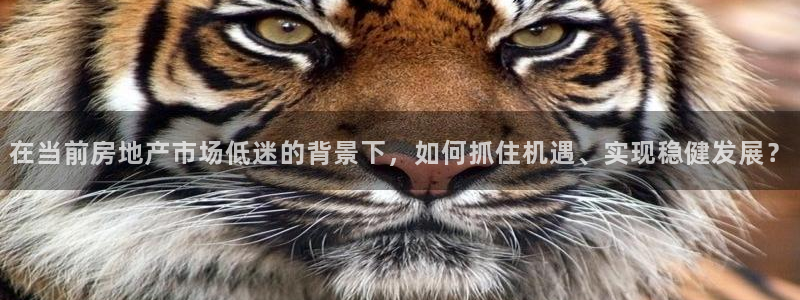 和记怡情h88官网：在当前房地产市场低迷的背景下，如何抓住机