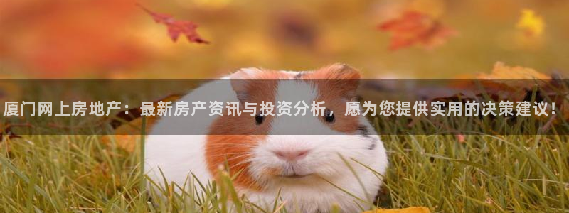和记怡情博娱官网：厦门网上房地产：最新房产资讯与投资分析，愿