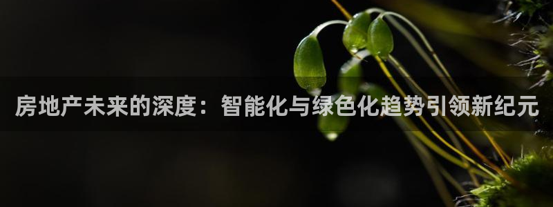 和记手机版官网：房地产未来的深度：智能化与绿色化趋势引领新纪