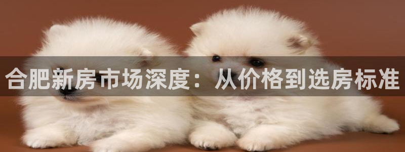和记旗舰官网：合肥新房市场深度：从价格到选房标准