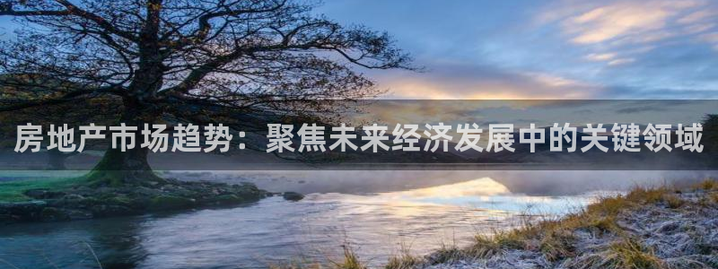 和记怡情官网电话：房地产市场趋势：聚焦未来经济发展中的关键领