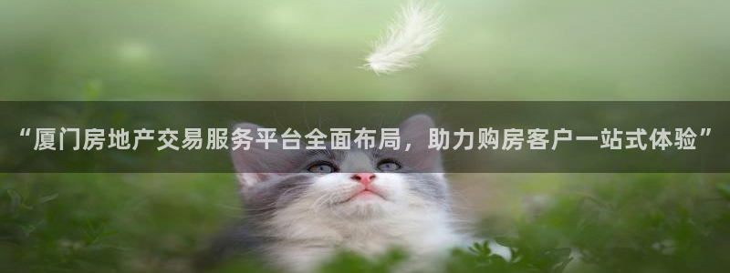 和记澳门官网：“厦门房地产交易服务平台全面布局，助力购房客户