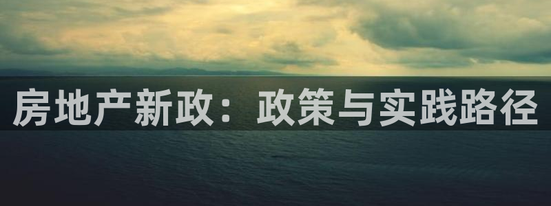 和记手机版官网：房地产新政：政策与实践路径