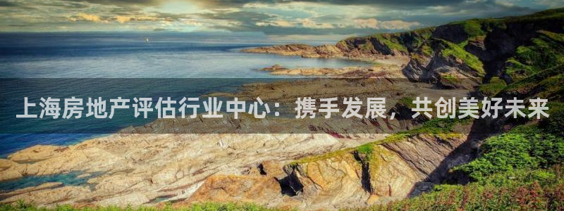 和记开户官网：上海房地产评估行业中心：携手发展，共创美好未来
