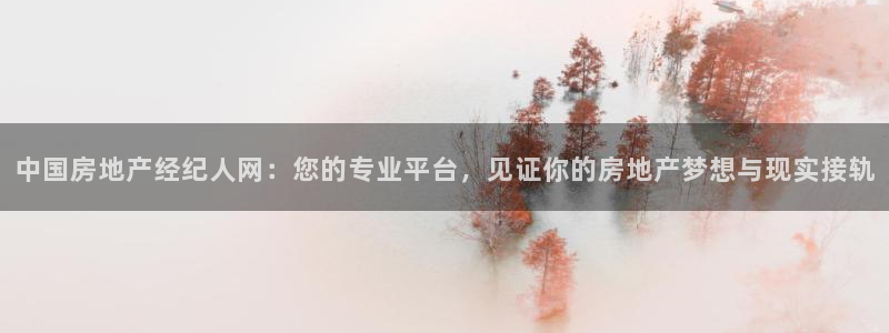 和记怡情官网：中国房地产经纪人网：您的专业平台，见证你的房地