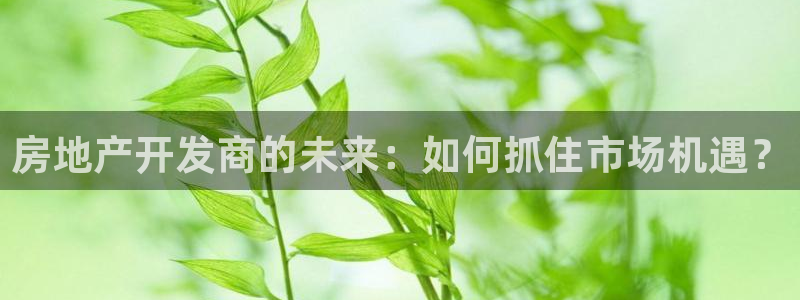 和记app官方官网登录：房地产开发商的未来：如何抓住市场机遇