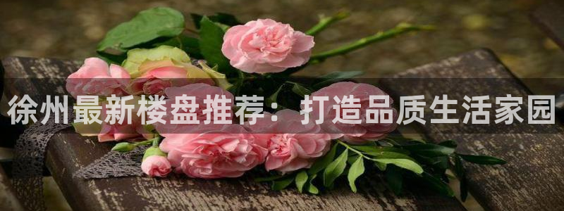 小金库钱包app下载官网和记：徐州最新楼盘推荐：打造品质生活