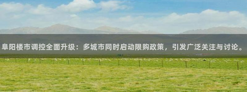 3g和记官网：阜阳楼市调控全面升级：多城市同时启动限购政策，