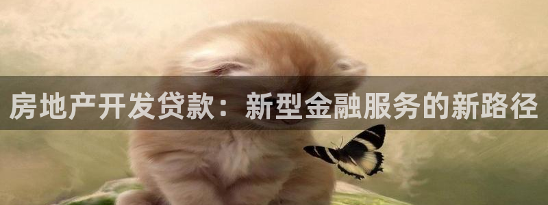 和记电讯官网0机构：房地产开发贷款：新型金融服务的新路径
