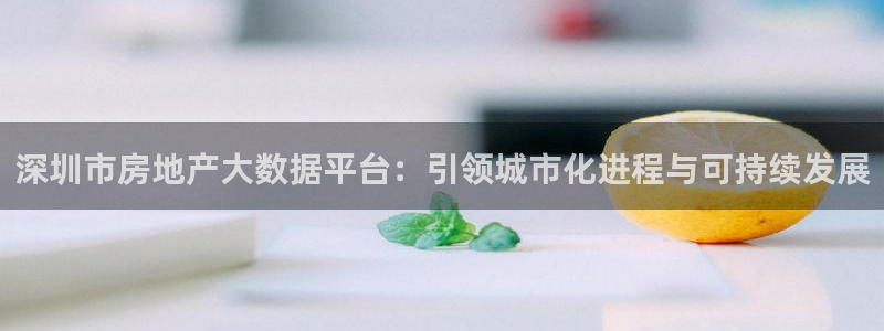 和记怡情官网入口：深圳市房地产大数据平台：引领城市化进程与可