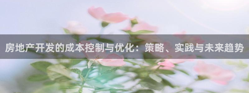 h88和记官网：房地产开发的成本控制与优化：策略、实践与未来