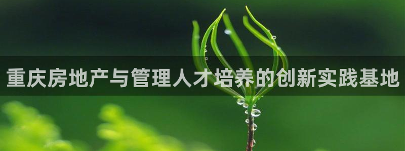 和记官网app是谁的：重庆房地产与管理人才培养的创新实践基地