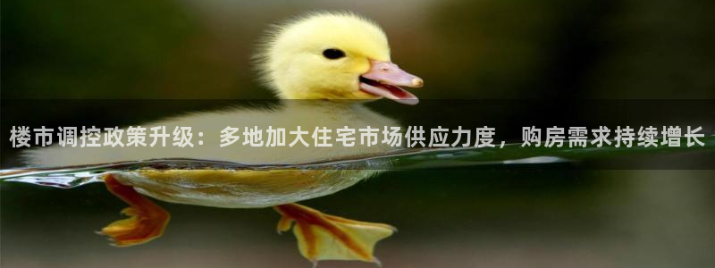 和行记义工网官网：楼市调控政策升级：多地加大住宅市场供应力度