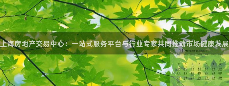 香港和记集团官网：上海房地产交易中心：一站式服务平台与行业专