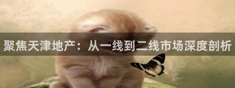 重庆和记黄埔官网