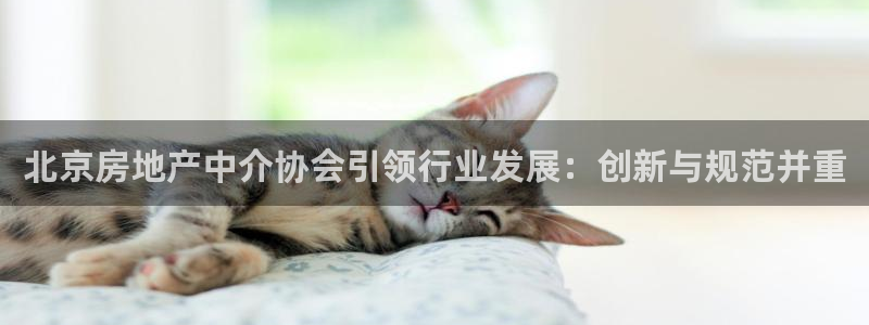 和记电讯官网：北京房地产中介协会引领行业发展：创新与规范并重