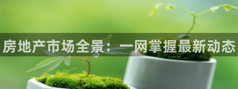 官网和记通讯：房地产市场全景：一网掌握最新动态