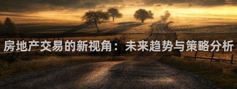 和记奥普泰 官网：房地产交易的新视角：未来趋势与策略分析