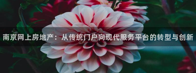 和记 中国官网：南京网上房地产：从传统门户向现代服务平台的转