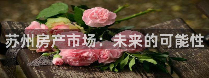 和记黄埔 成都 官网：苏州房产市场：未来的可能性