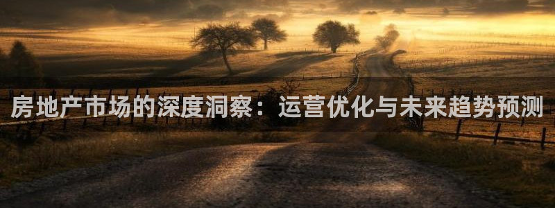 和记备用官网：房地产市场的深度洞察：运营优化与未来趋势预测