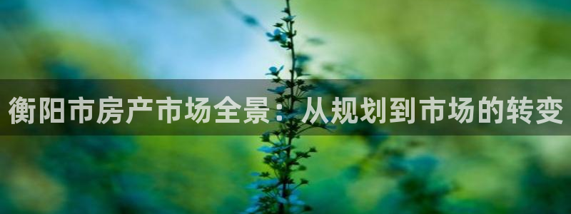 和记h88game官网