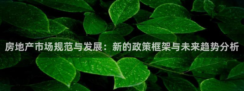 和记官网官网入口：房地产市场规范与发展：新的政策框架与未来趋