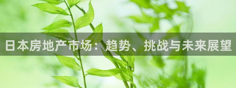 和记国际有限公司官网：日本房地产市场：趋势、挑战与未来展望