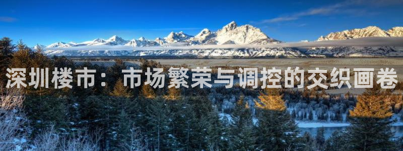 和记官网首页：深圳楼市：市场繁荣与调控的交织画卷