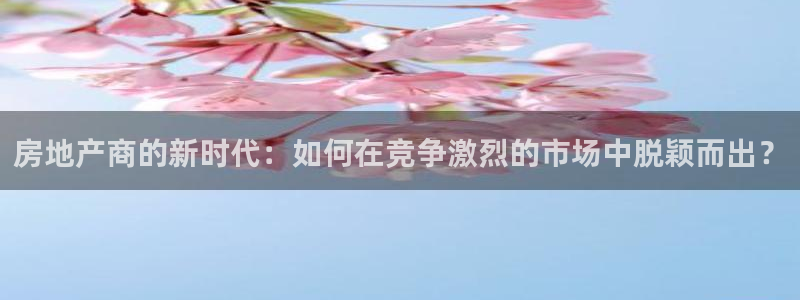 和记怡情视频官网：房地产商的新时代：如何在竞争激烈的市场中脱