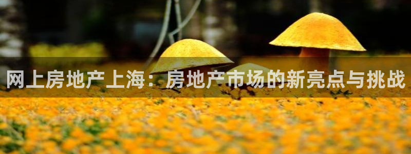 和记卡官网：网上房地产上海：房地产市场的新亮点与挑战