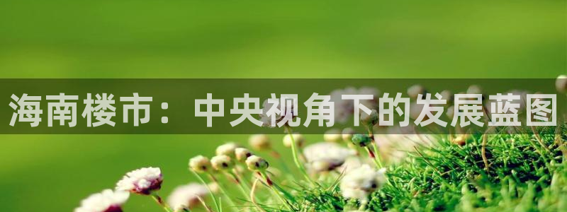 和记官网平台：海南楼市：中央视角下的发展蓝图