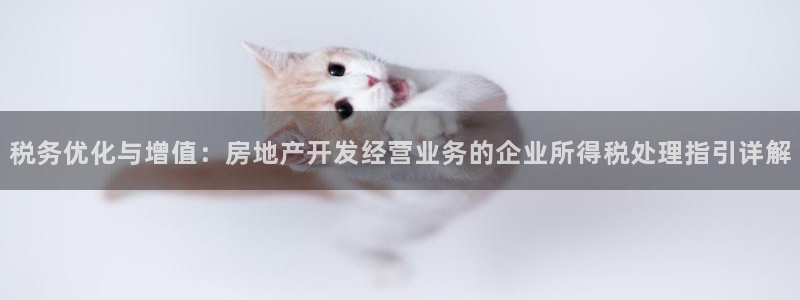 和力记易官网：税务优化与增值：房地产开发经营业务的企业所得税