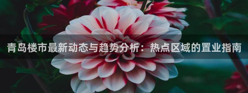 和记h8官网：青岛楼市最新动态与趋势分析：热点区域的置业指南
