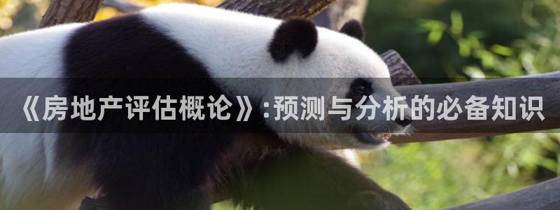 和记188官网：《房地产评估概论》:预测与分析的必备知识