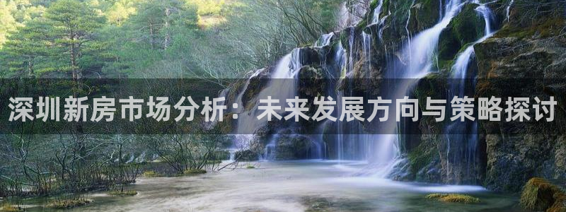和记黄埔上海官网：深圳新房市场分析：未来发展方向与策略探讨