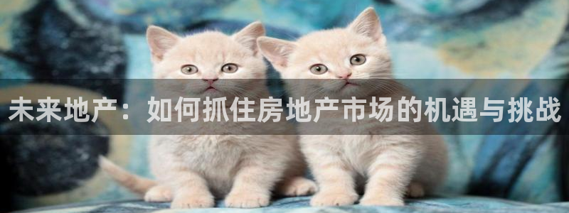 和记娱要多少钱h88285官网：未来地产：如何抓住房地产市场