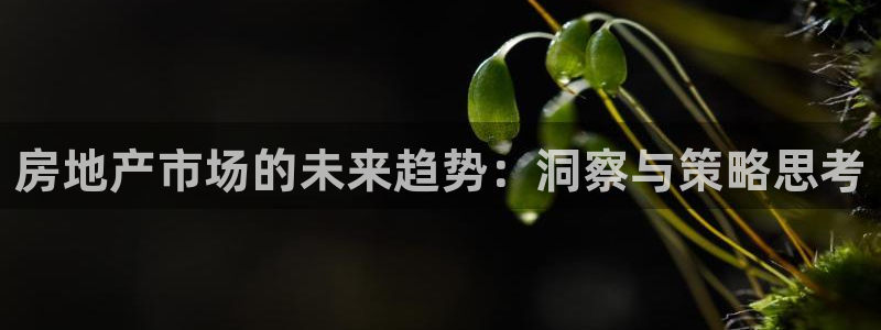 和帆记加盟官网