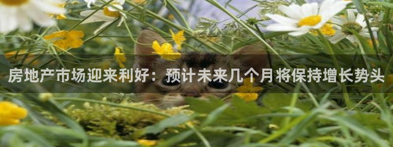 和记万佳国际家居城官网：房地产市场迎来利好：预计未来几个月将