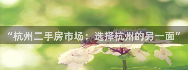和记官网注册：“杭州二手房市场：选择杭州的另一面”