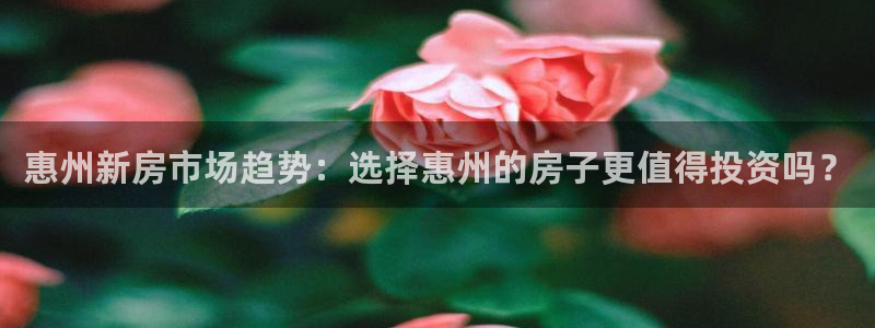 香港和记黄埔官网：惠州新房市场趋势：选择惠州的房子更值得投资