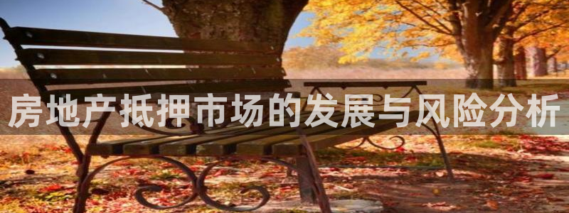 3和记电讯官网：房地产抵押市场的发展与风险分析