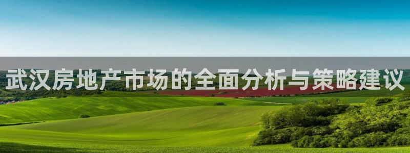 和记官网备用客户端：武汉房地产市场的全面分析与策略建议