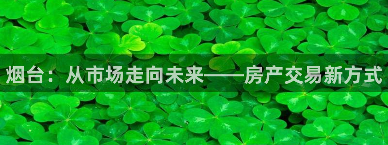 和记3hk官网：烟台：从市场走向未来——房产交易新方式