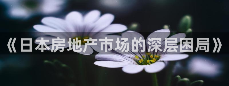 重庆和记黄埔官网：《日本房地产市场的深层困局》